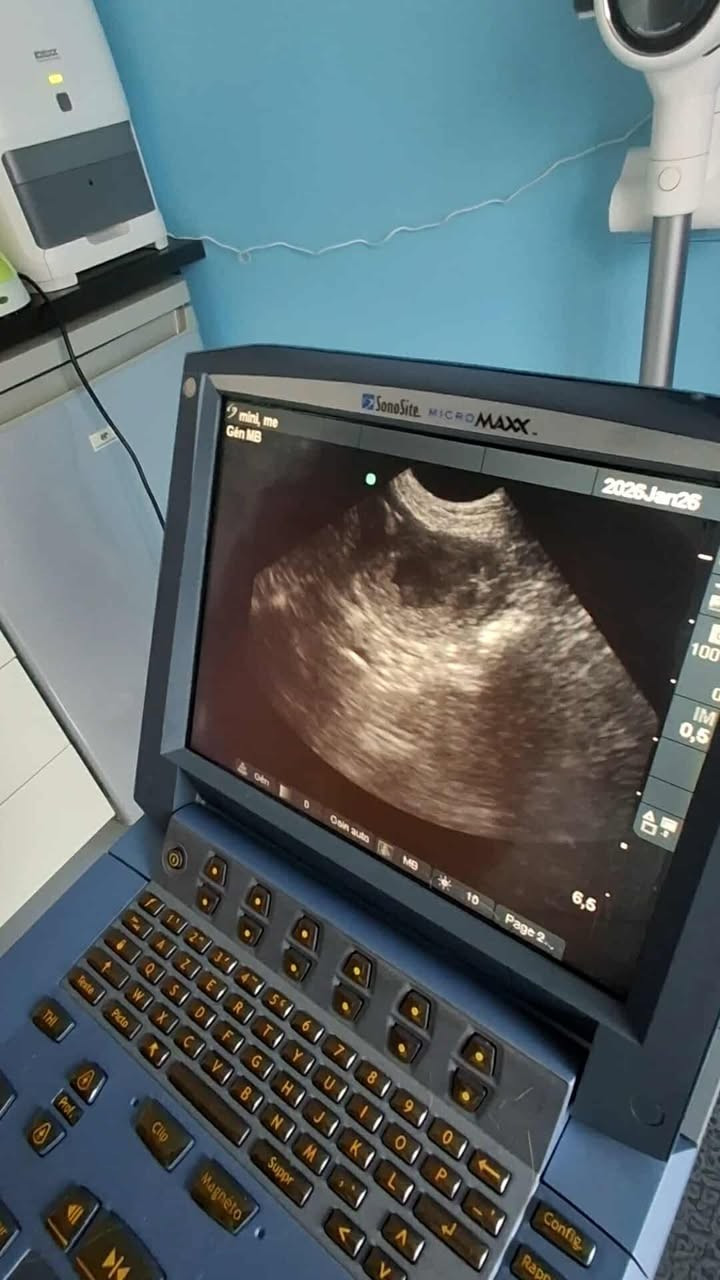 Gestation confirmée